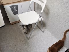 -谐和贝康宠物医院24小时·宠保定点(急重症转诊中心)