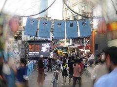 -猫咪博物馆(顶澳仔猫街店)