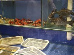 水产区-鸟语林烧烤之约(四平店)