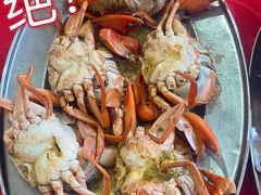 -大湾区中央湿地公园-十九涌
