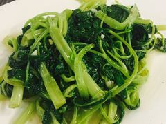 -鸽鸟轩(石岐店)