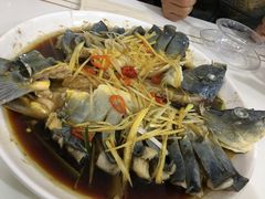 -煲来饱去冷水鱼