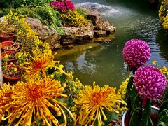 -杭州植物园