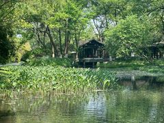-杭州植物园