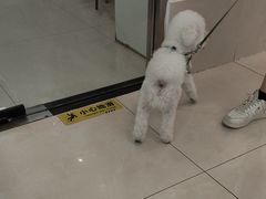-北京观赏动物医院·24小时大型综合·猫专科·异宠专科
