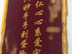 -宠爱国际动物医院·疑难骨科·心肾内科·皮肤科(太阳宫店)