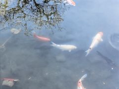 -三里河公园