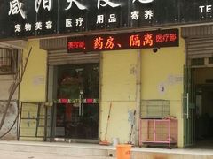 android_upload_pic-天使宠物医院·犬猫分诊(彩虹店)