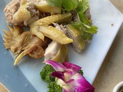 -墨脱石锅椰子鸡•香草鸭•东山羊(大东海店)