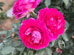 -人民公园(罗湖区)