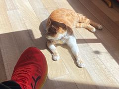 -四姑娘山阿巴郎·藏式花园餐厅