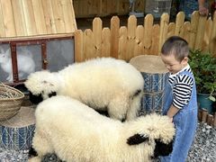 -HERRE·FARM 赫尔露营农场·团建聚会包场