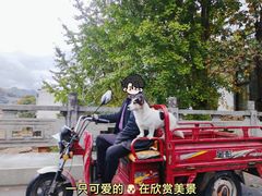 -新安江山水画廊风景区