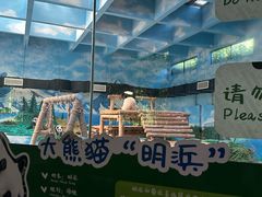 -柳州市动物园