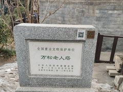-万松老人塔
