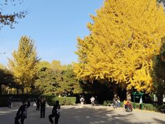 -玲珑塔公园