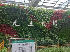 -长春农业博览园