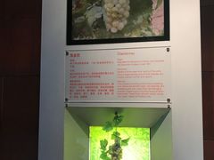 -龙谕酒庄
