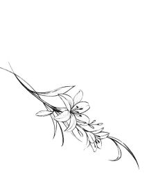 -针牛刺客·刺青纹身