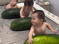 -南海渔村·徐博馆(琶洲店-粤菜养生宴)