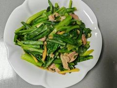 -爱月宝月嫂·育儿嫂(哈尔滨总店)