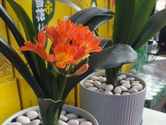 -外婆烧.老杭帮菜(庆春店)