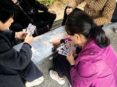 -四海公园(南山区)