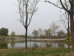 -东郊湿地公园