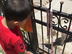 -上海滴水湖皇冠假日酒店