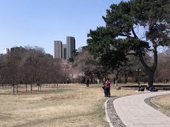 -北陵公园