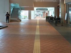 -香港大学