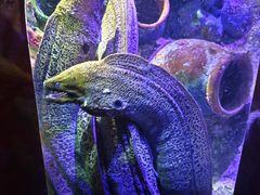 -太平洋海底世界