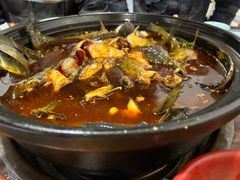 -金海椒罐罐鲢鱼(东方桂苑店)