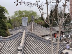 -团结湖公园