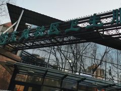 -北京市朝阳区东风社区卫生服务中心