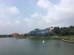 -大塘金香草谷