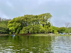 -上海共青森林公园