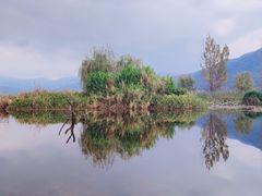 -西昌邛海湿地