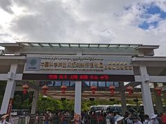 -中国科学院西双版纳热带植物园