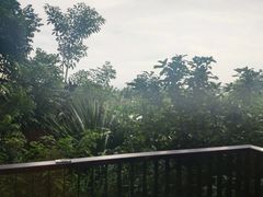 -海鲜码头·中国菜