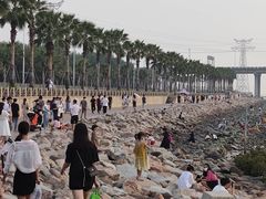 -宝安西湾红树林湿地公园