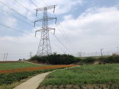 -紫颐香薰山谷景区