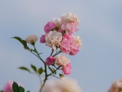 -苏州湾体育公园