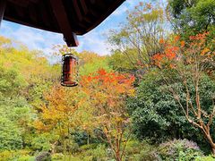 -杭州半山国家森林公园