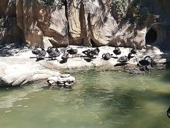 -燕塞湖鸟语林景区