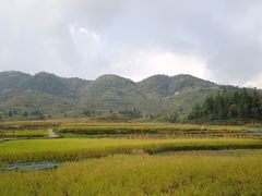 -楠溪江风景名胜区