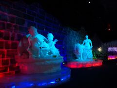 -石家庄市植物园