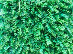 -溢仙茶(中防万宝城店)