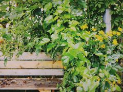 -安德鲁户外烧烤帐篷营地(马泉营店)