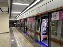 -红树湾(地铁站)